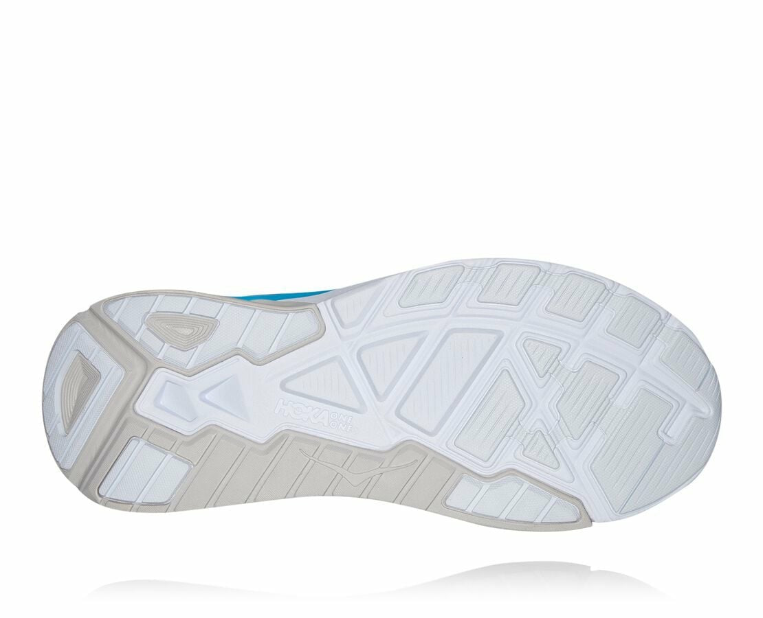 Men's Arahi 4 Majolica Blue / Dresden Blue