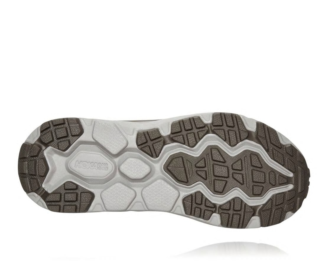Women's Challenger Low GORE-TEX Major Brown / Heather