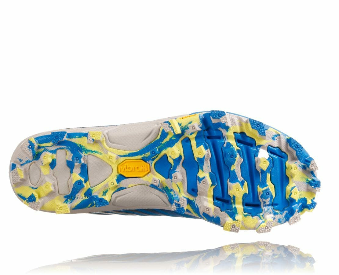 Women's EVO Jawz Cyan / Citrus