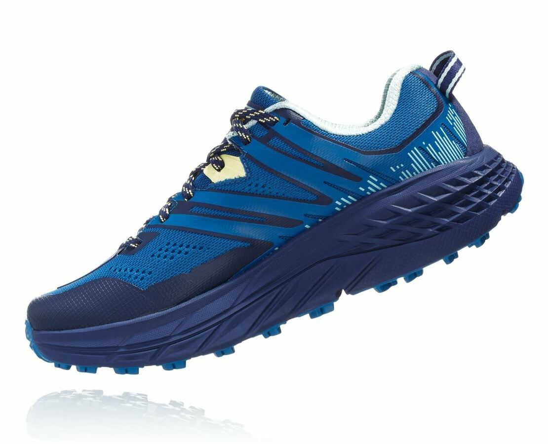 Women's Speedgoat 3 Seaport / Medieval Blue