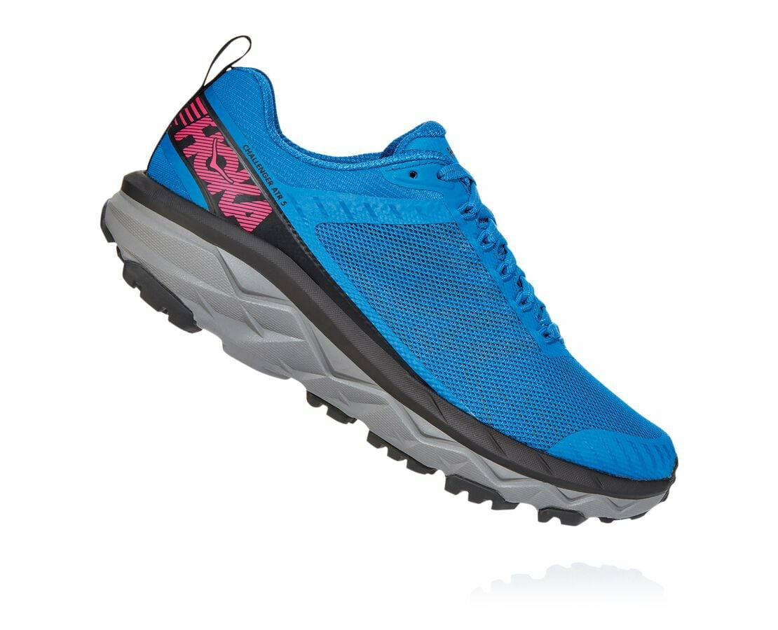 Women's Challenger ATR 5 Imperial Blue / Pink Peacock