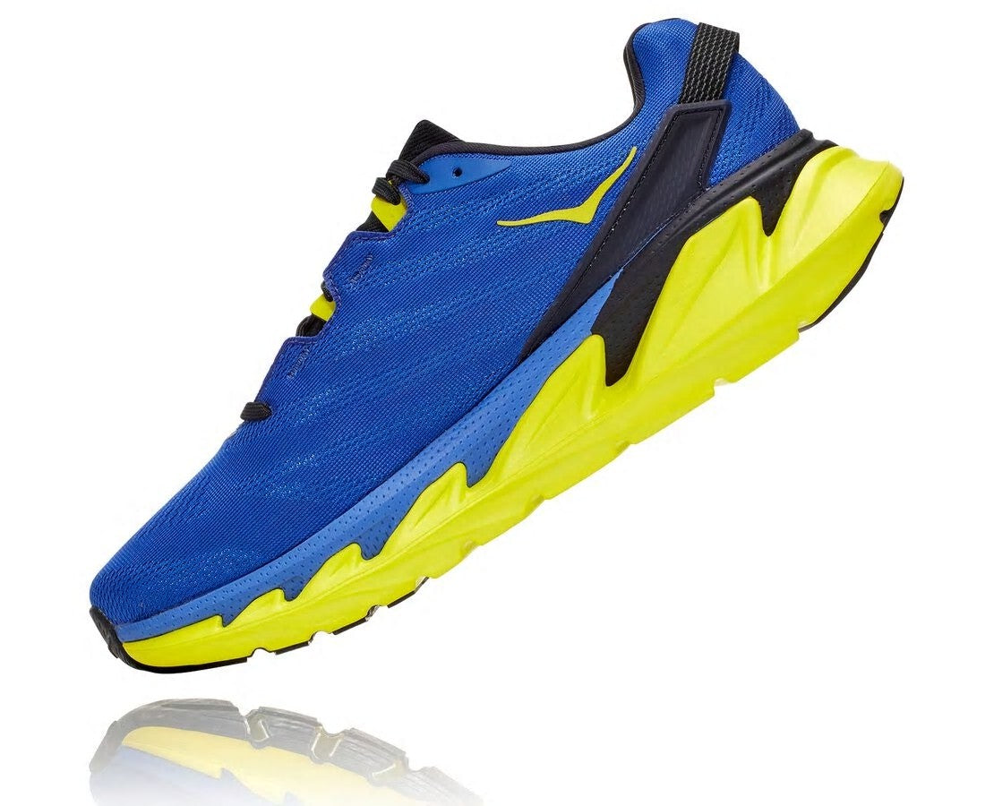 Men's Elevon 2 Amparo Blue / Evening Primrose