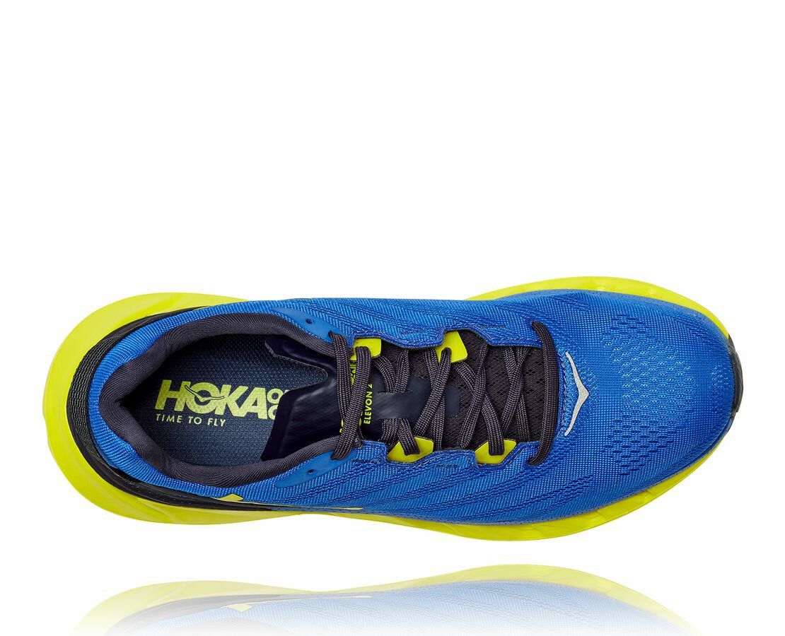 Men's Elevon 2 Amparo Blue / Evening Primrose