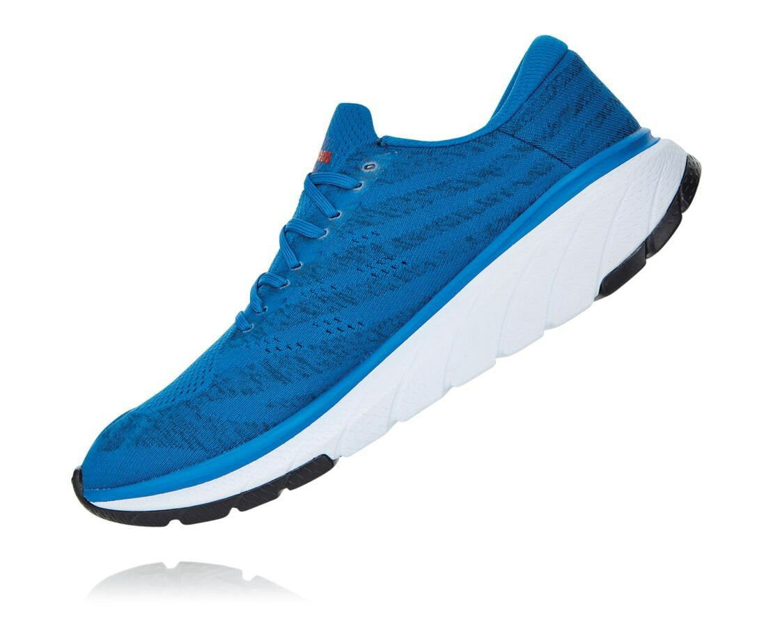 Men's Cavu 3 Imperial Blue / White
