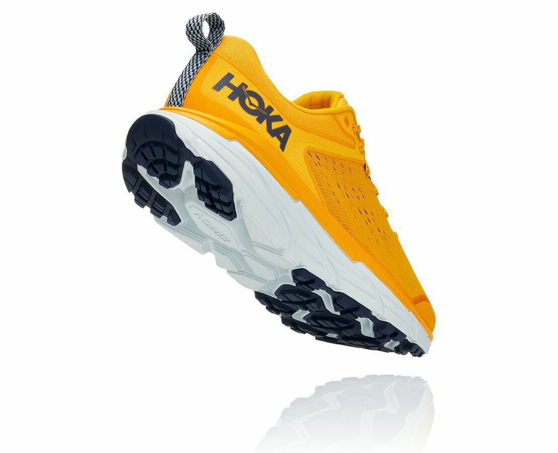 Men's Challenger ATR 6 Saffron / Morning Mist