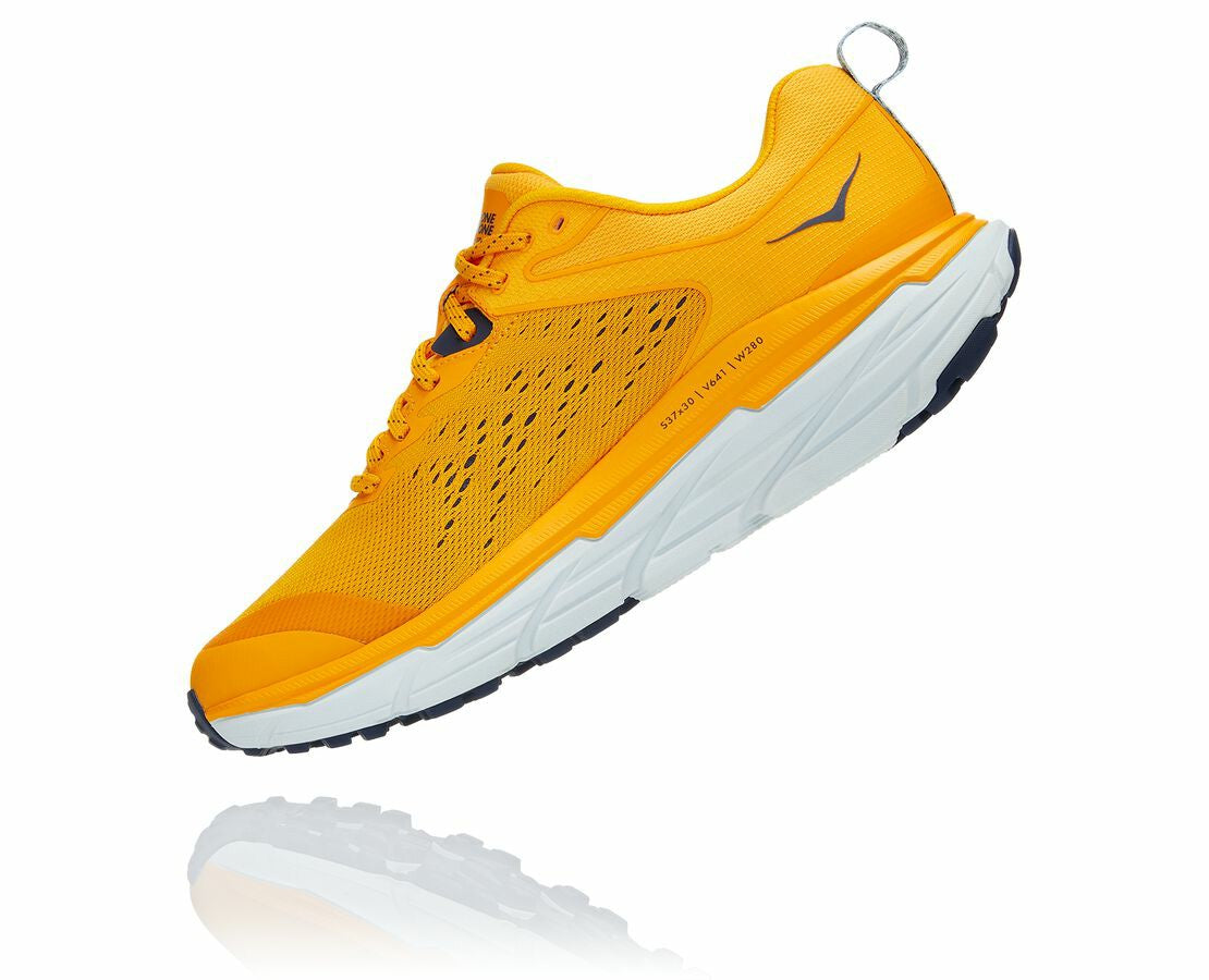 Men's Challenger ATR 6 Saffron / Morning Mist