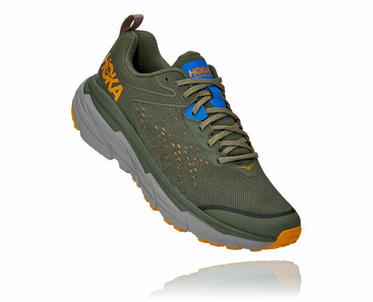 Men's Challenger ATR 6 Thyme / Sharkskin