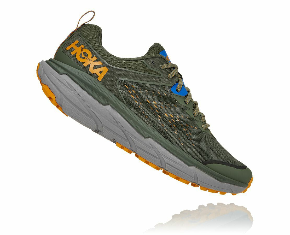 Men's Challenger ATR 6 Thyme / Sharkskin