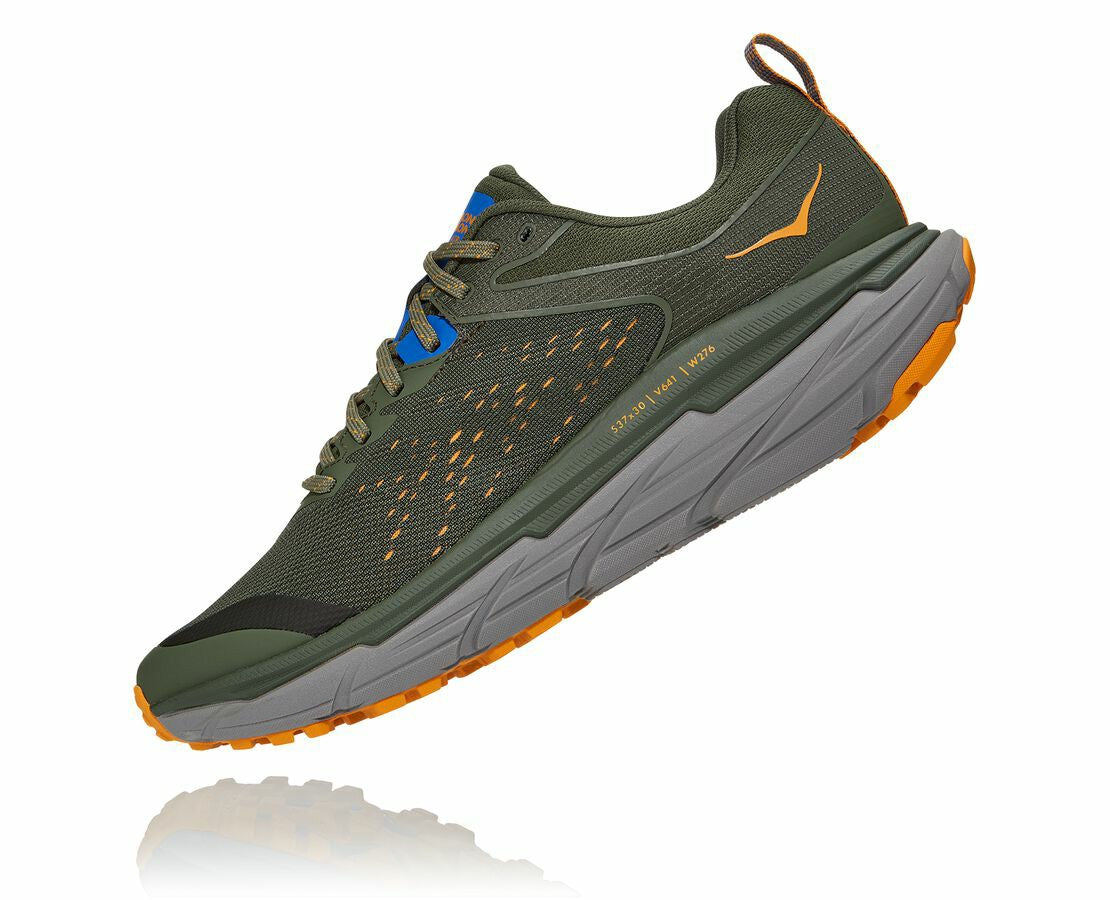 Men's Challenger ATR 6 Thyme / Sharkskin