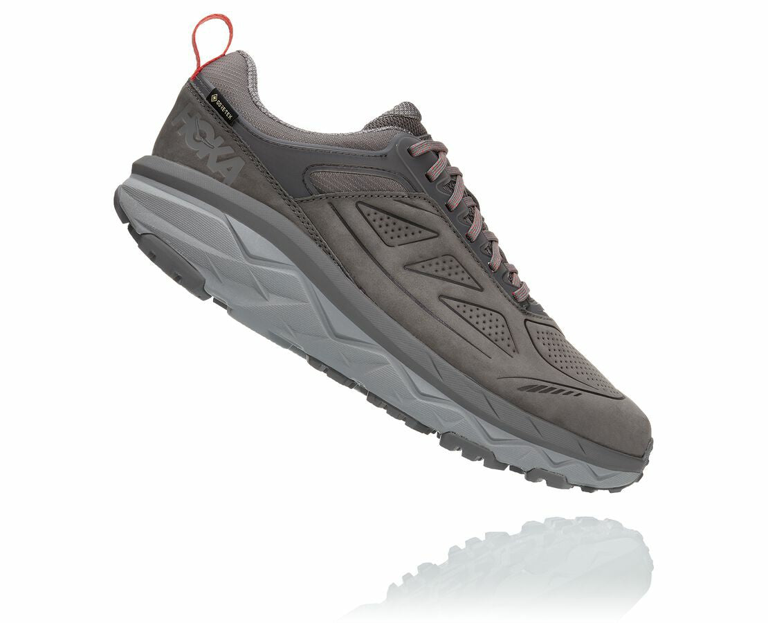 Men's Challenger Low GORE-TEX Charcoal Gray / Fiesta