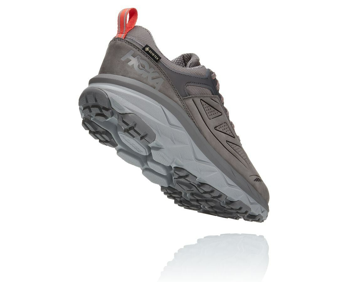 Men's Challenger Low GORE-TEX Charcoal Gray / Fiesta