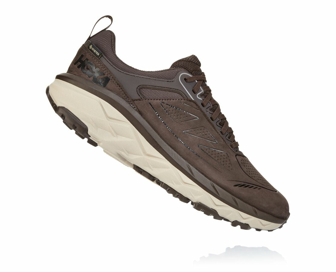 Men's Challenger Low GORE-TEX Demitasse