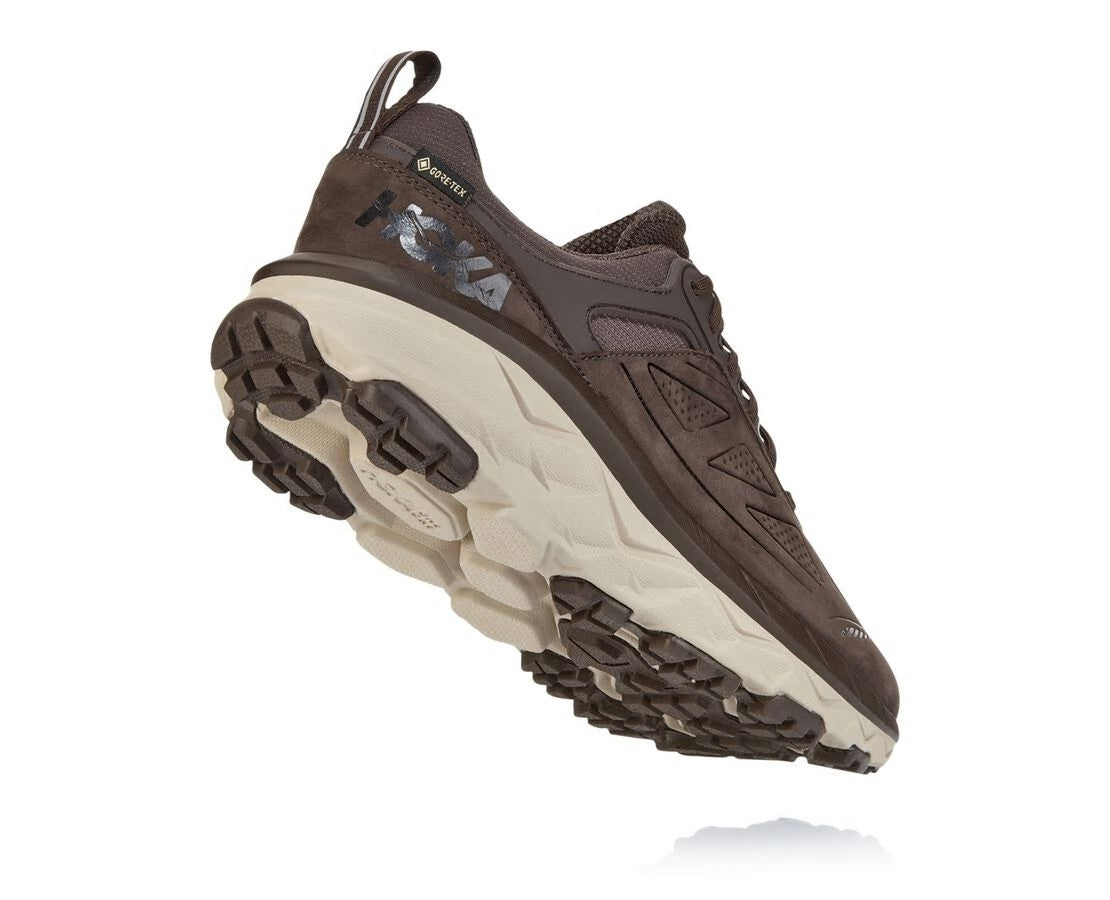 Men's Challenger Low GORE-TEX Demitasse