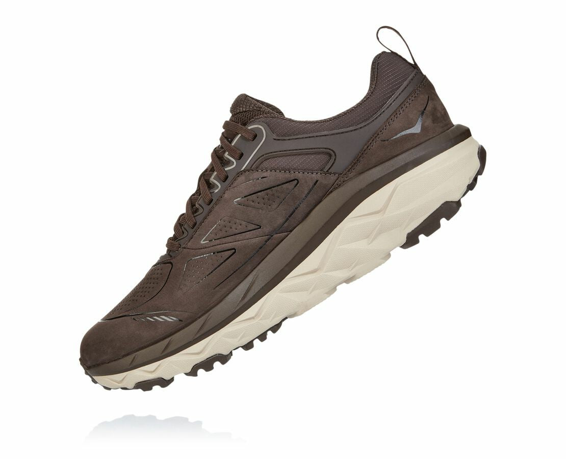 Men's Challenger Low GORE-TEX Demitasse