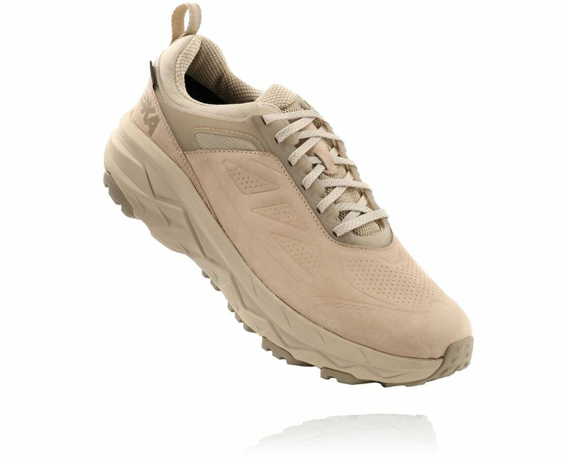Men's Challenger Low GORE-TEX Oxford Tan / Dune