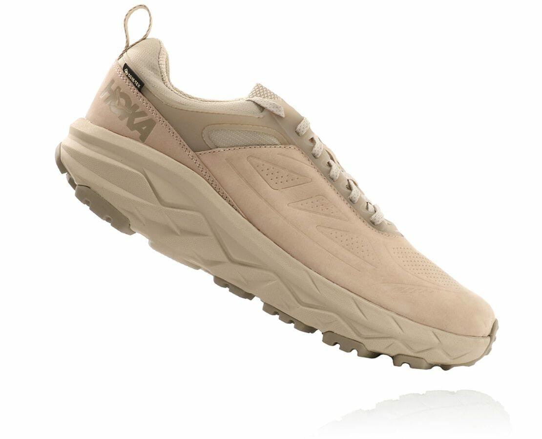 Men's Challenger Low GORE-TEX Oxford Tan / Dune
