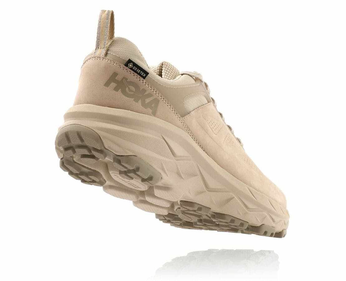 Men's Challenger Low GORE-TEX Oxford Tan / Dune