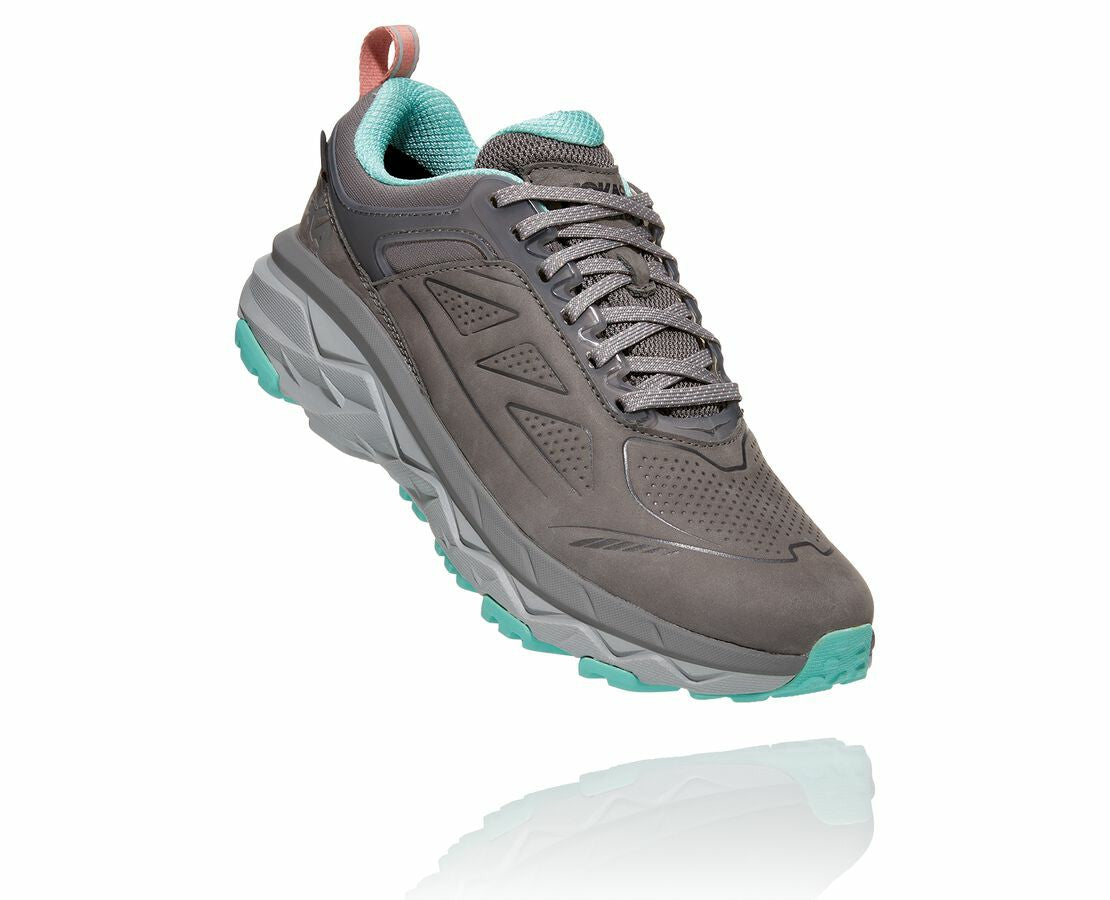 Women's Challenger Low GORE-TEX Charcoal Gray / Wild Dove