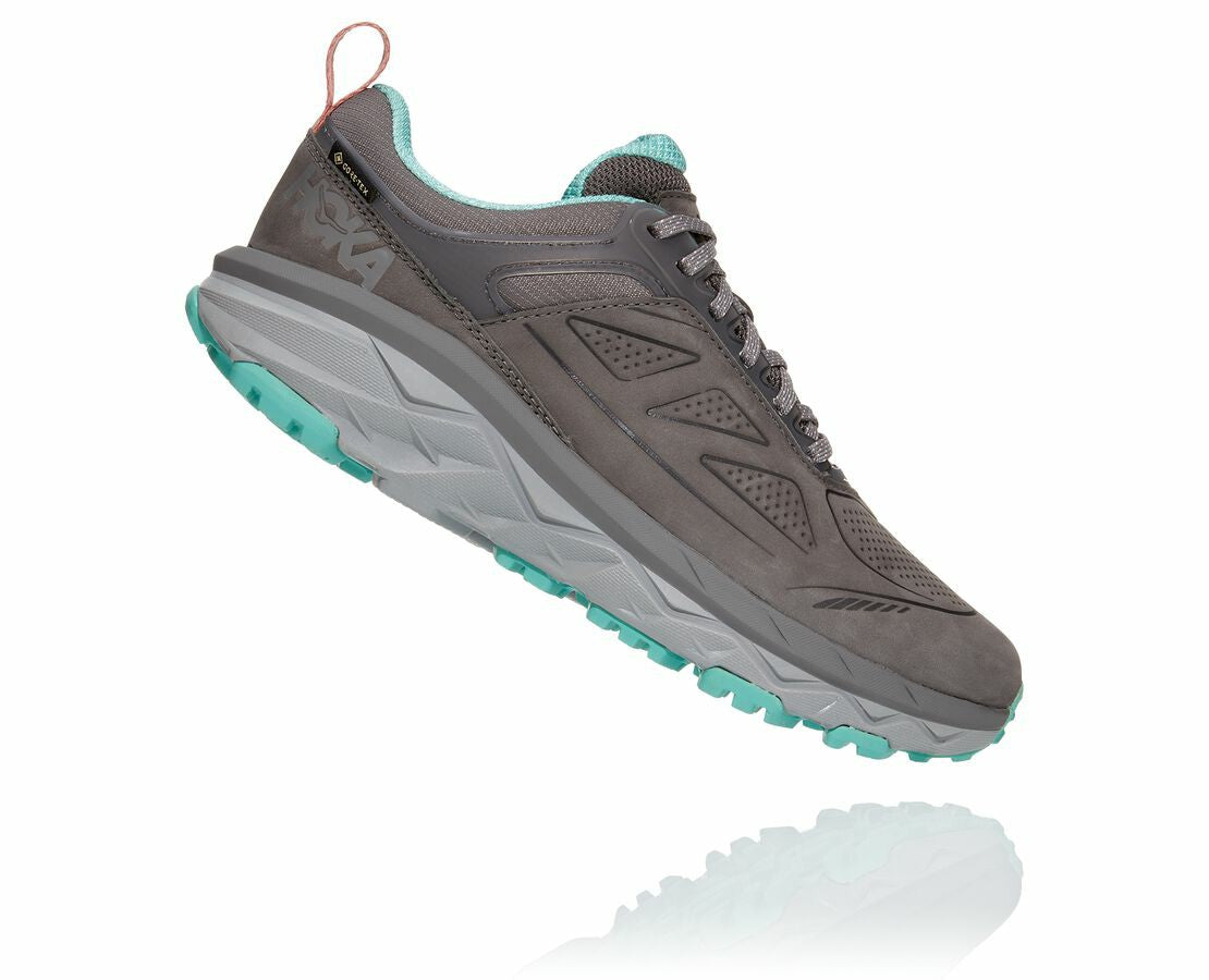 Women's Challenger Low GORE-TEX Charcoal Gray / Wild Dove