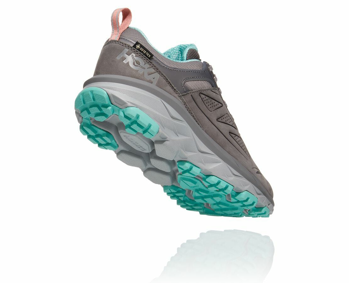 Women's Challenger Low GORE-TEX Charcoal Gray / Wild Dove