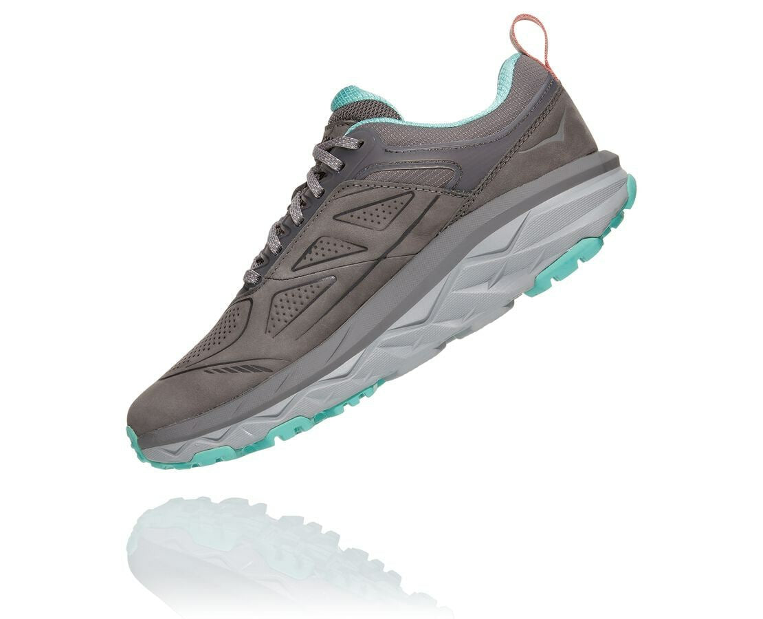 Women's Challenger Low GORE-TEX Charcoal Gray / Wild Dove