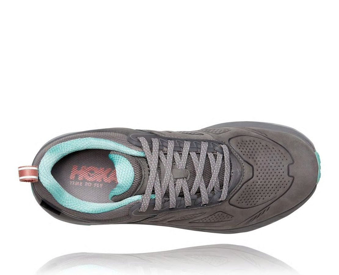 Women's Challenger Low GORE-TEX Charcoal Gray / Wild Dove