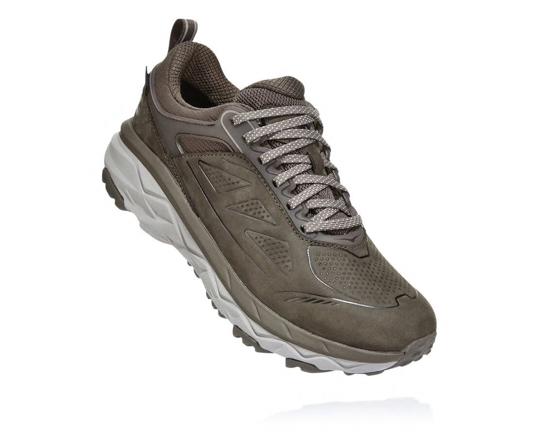 Women's Challenger Low GORE-TEX Major Brown / Heather