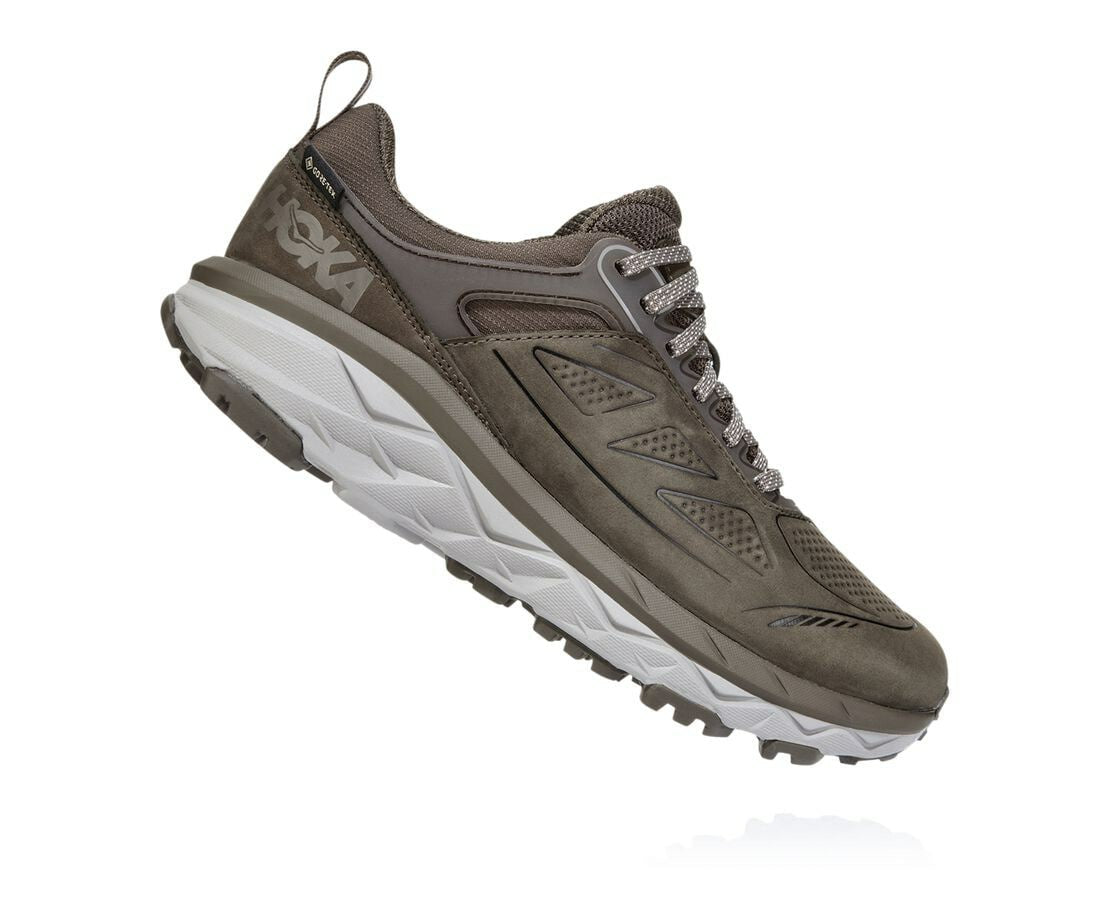Women's Challenger Low GORE-TEX Major Brown / Heather