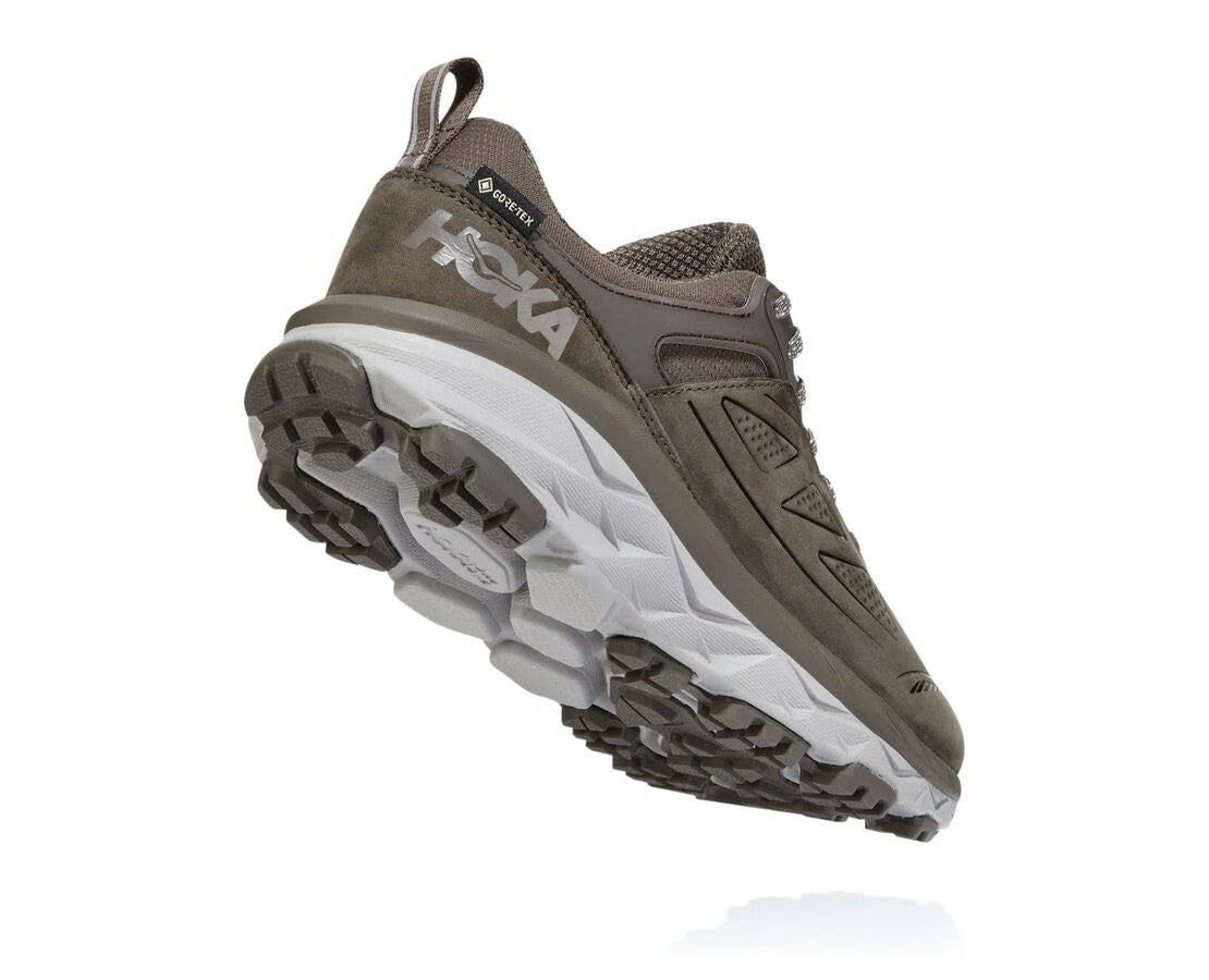 Women's Challenger Low GORE-TEX Major Brown / Heather