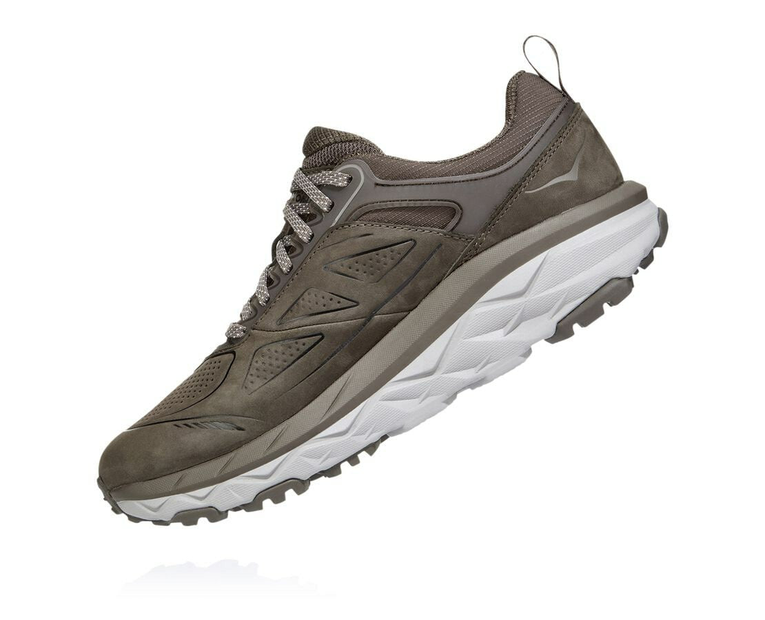 Women's Challenger Low GORE-TEX Major Brown / Heather