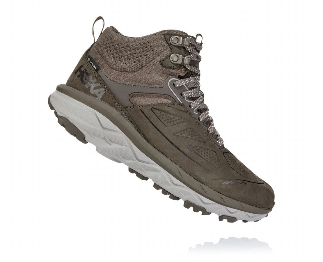 Women's Challenger Mid GORE-TEX Major Brown / Heather