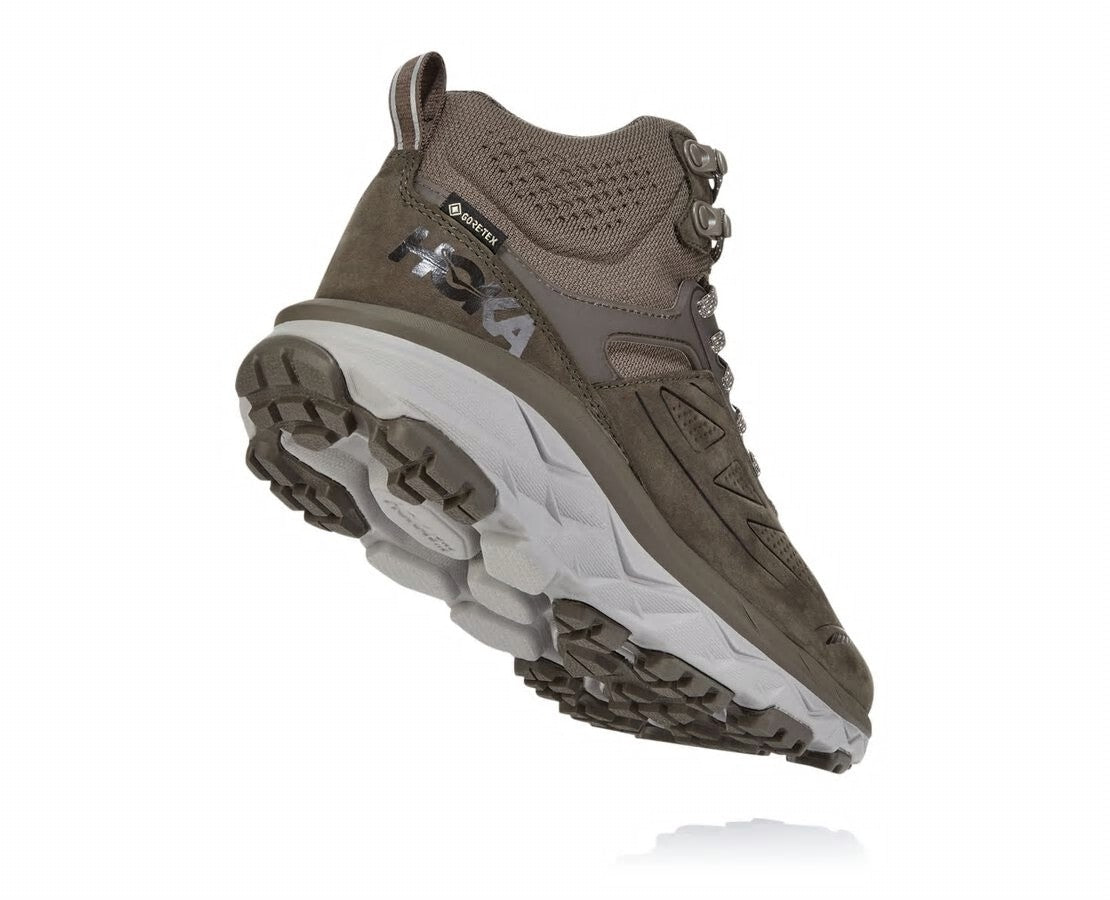Women's Challenger Mid GORE-TEX Major Brown / Heather