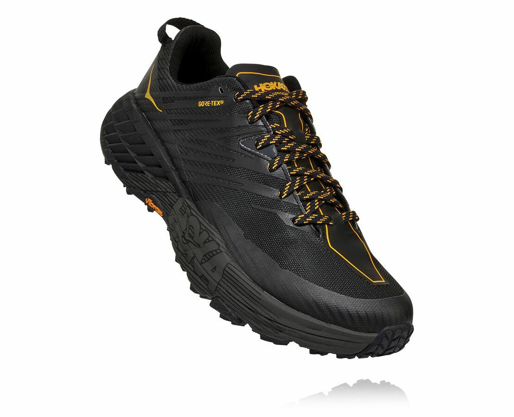 Men's Speedgoat 4 GORE-TEX Anthracite / Dark Gull Grey
