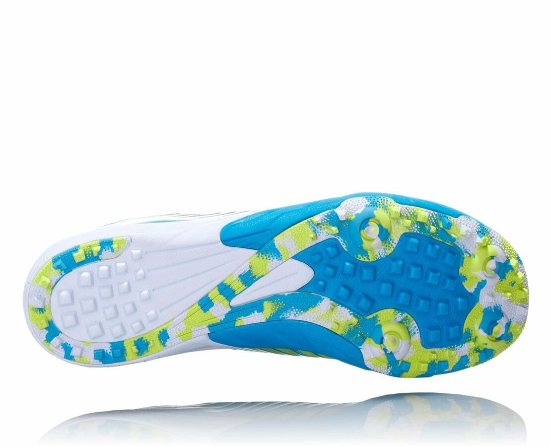 Men's EVO XC Spikeless Cyan / Citrus