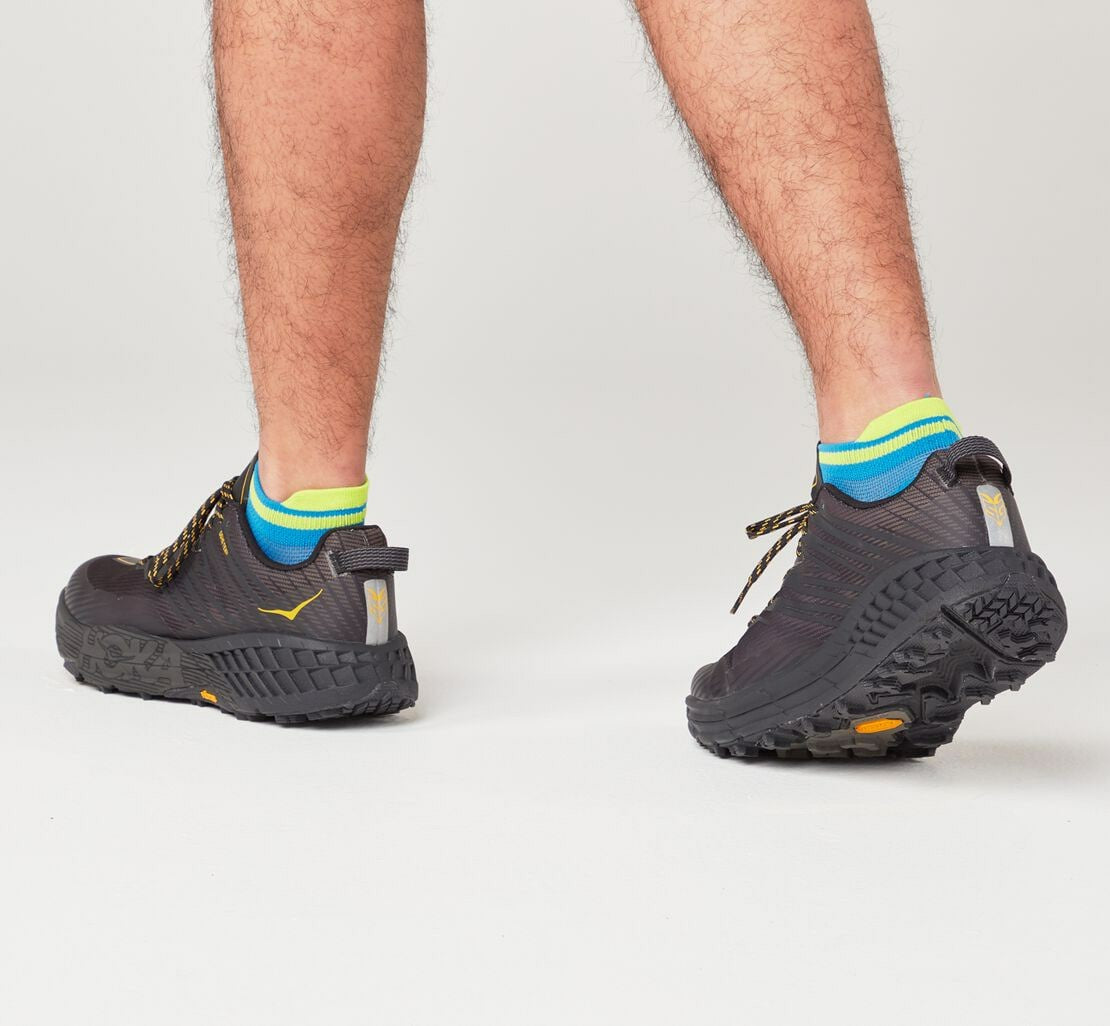 All Gender Performance No-Show Sock Diva Blue / Citrus